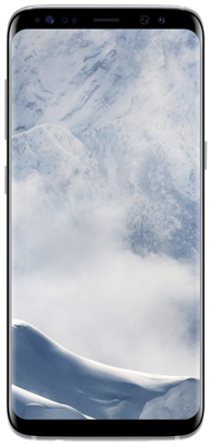 Samsung Galaxy S8 PLUS - 64GB Arctic Silver - Locked