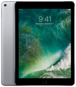 Apple iPad Pro 9.7 1st Gen (A1673) 256GB - Space Grey