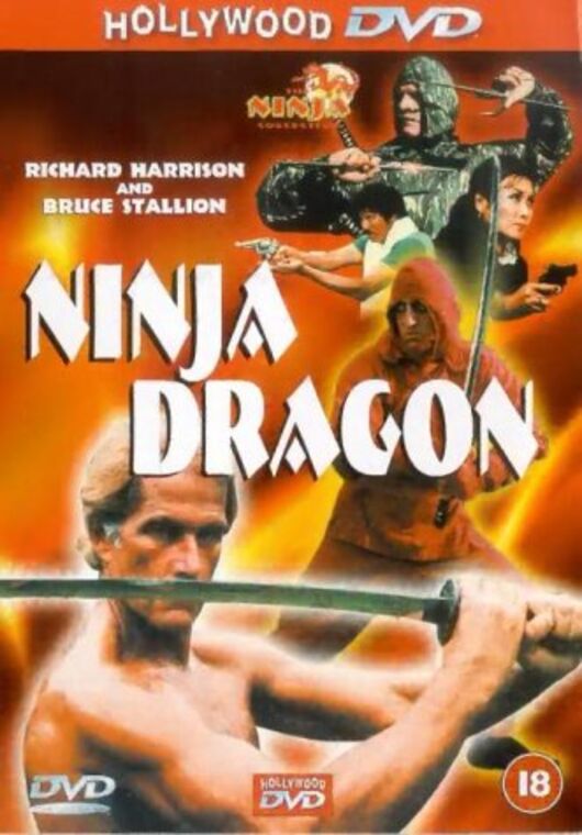 Ninja Dragon [DVD]