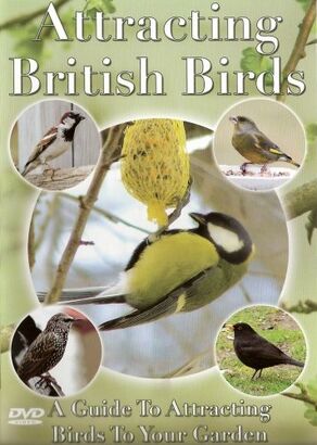 Attracting British Birds [DVD]