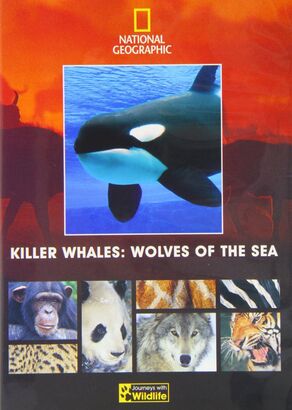 Killer Whales:Wolves of the Sea (Journeys with Wildlife Pt2)