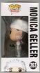 263-Monica Geller-Damaged-Right