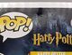 32-Harry Potter (Prophecy)-Damaged-Back