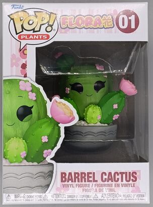 #01 Barrel Cactus - Flora