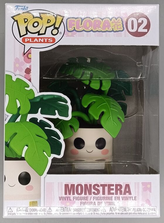 #02 Monstera - Flora