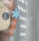 1611-Orihome Inoue-Damaged 4