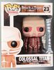 23-Colossal Titan-Damaged