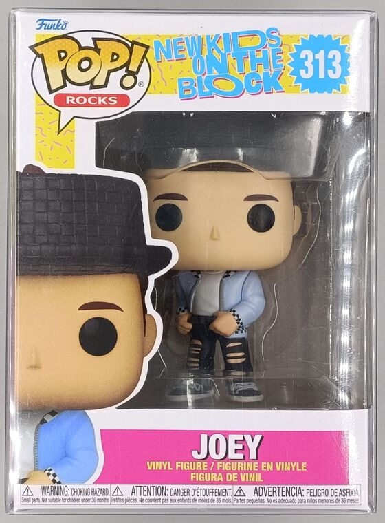 #313 Joey - New Kids on the Block - Rocks