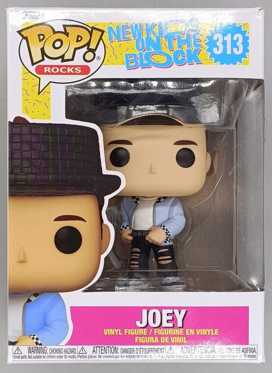 #313 Joey - New Kids on the Block - Rocks - BOX DAMAGE