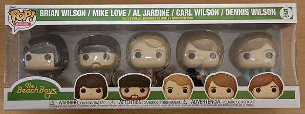 [5 Pack] The Beach Boys - Rocks