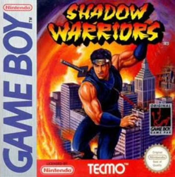 Shadow Warrior