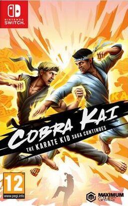 Cobra Kai: The Karate Saga Continues