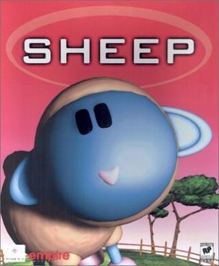 Sheep!