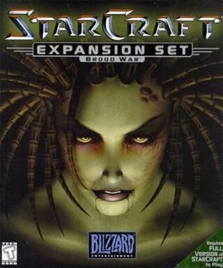 Starcraft & Broodwars