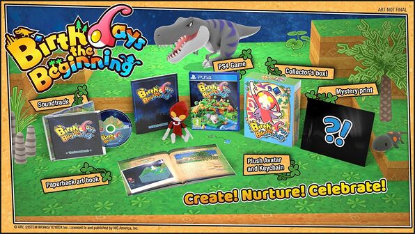 Birthdays the Beginning: Limited Edition