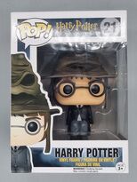 #21 Harry Potter (Sorting Hat) - Harry Potter