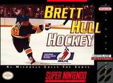 Brett Hulls Ice Hockey