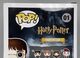 01-Harry Potter-Damaged-Back