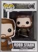 08-Robb Stark-Damaged