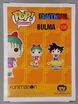 108-Bulma-Damaged-Back