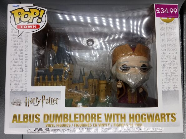 #27 Albus Dumbledore with Hogwarts Harry Potter - Town