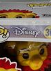 302-Simba-Damaged-Front