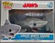 758-Great White Shark-Damaged