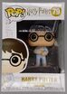 79-Harry Potter (Broken Arm)-Damaged