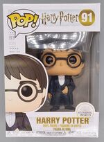 #91 Harry Potter (Yule) - Harry Potter